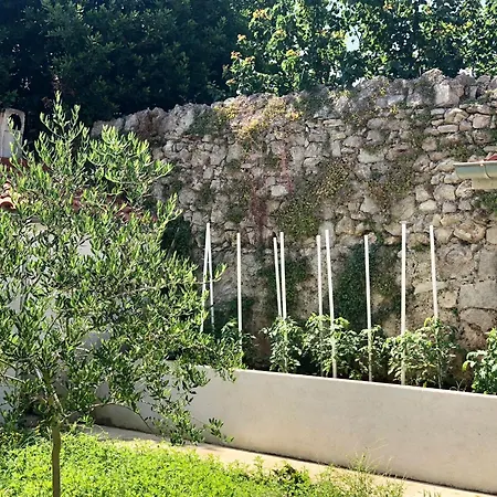 Olive Island Retreat *